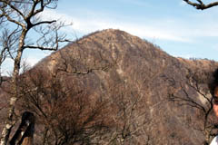 初日、臼ヶ岳から見上げた蛭ヶ岳