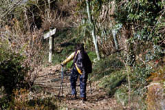 山里の登山道