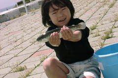 トラウトワームで爆釣