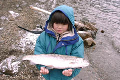 スプーンのキャスティングで釣った60cm級のニジマス