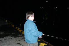 三崎港の夜釣り